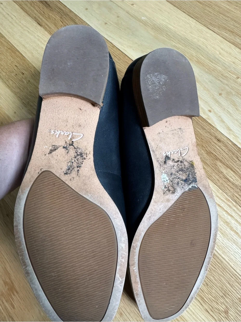 Clarks have loved